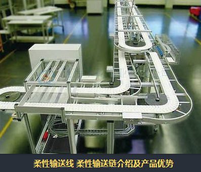環形輸送機有什么特點？
